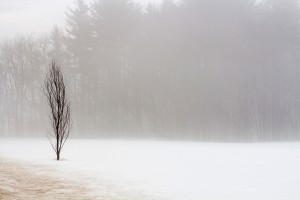 snow-fog-leecamerawork007 (1)               